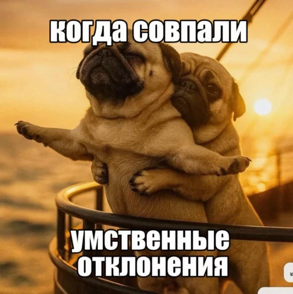 Любители плотно подсунуть под шерсть