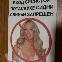 Сидни Свинки